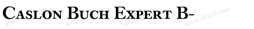Caslon Buch Expert B字体转换